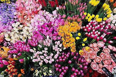 Fami通给《浪人崛起》超高评价 进入白金殿堂